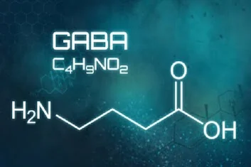 GABA molecular structure — the brain's primary inhibitory neurotransmitter in the Yu Sleep formula